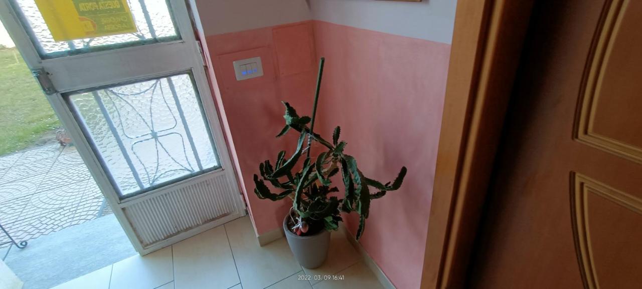 La Magnolia B&B Gassino Torinese Bagian luar foto