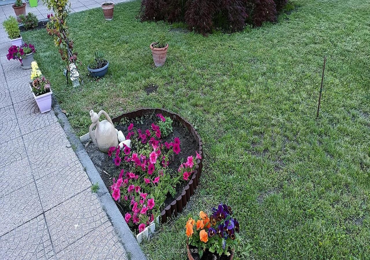 La Magnolia B&B Gassino Torinese Bagian luar foto
